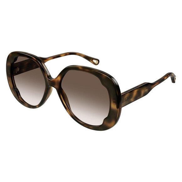 A2187Z New CHLOE Havana Square CH0195S 002 Sunglasses Women - Picture 1 of 3